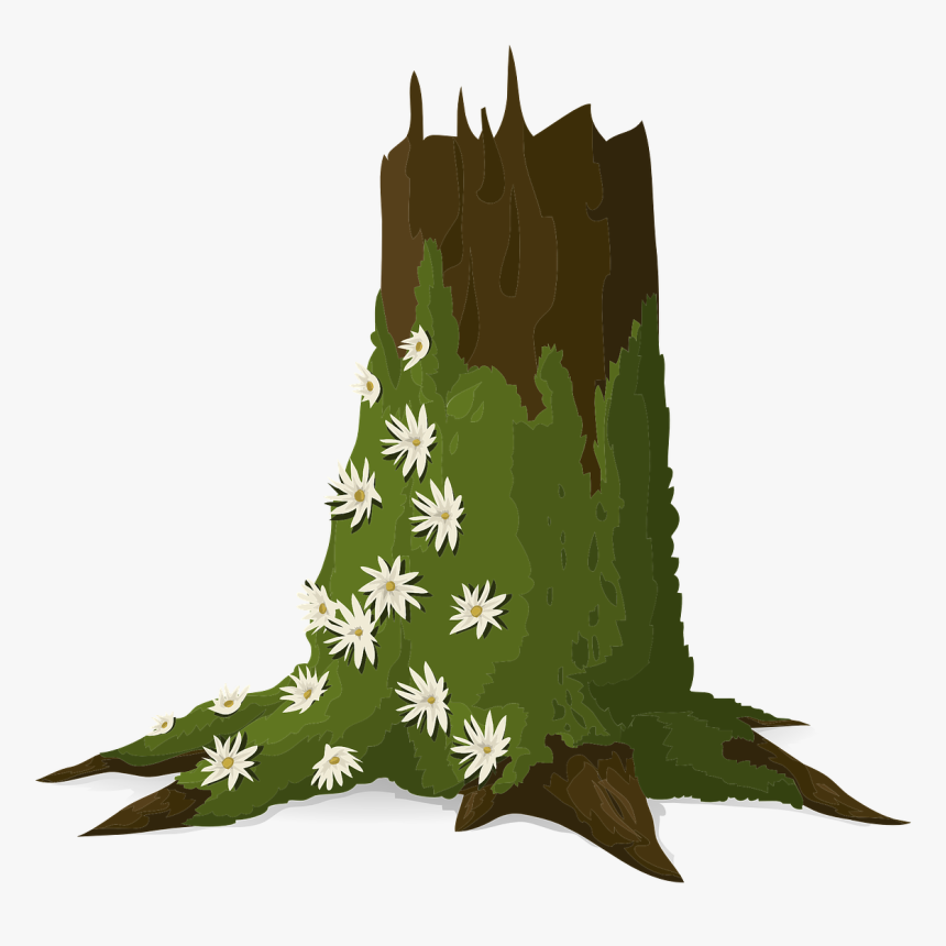 Trees, Trunks, Moss, Green, Leafy, Plants, Woods, Brown - Moss On Tree Clipart, HD Png Download