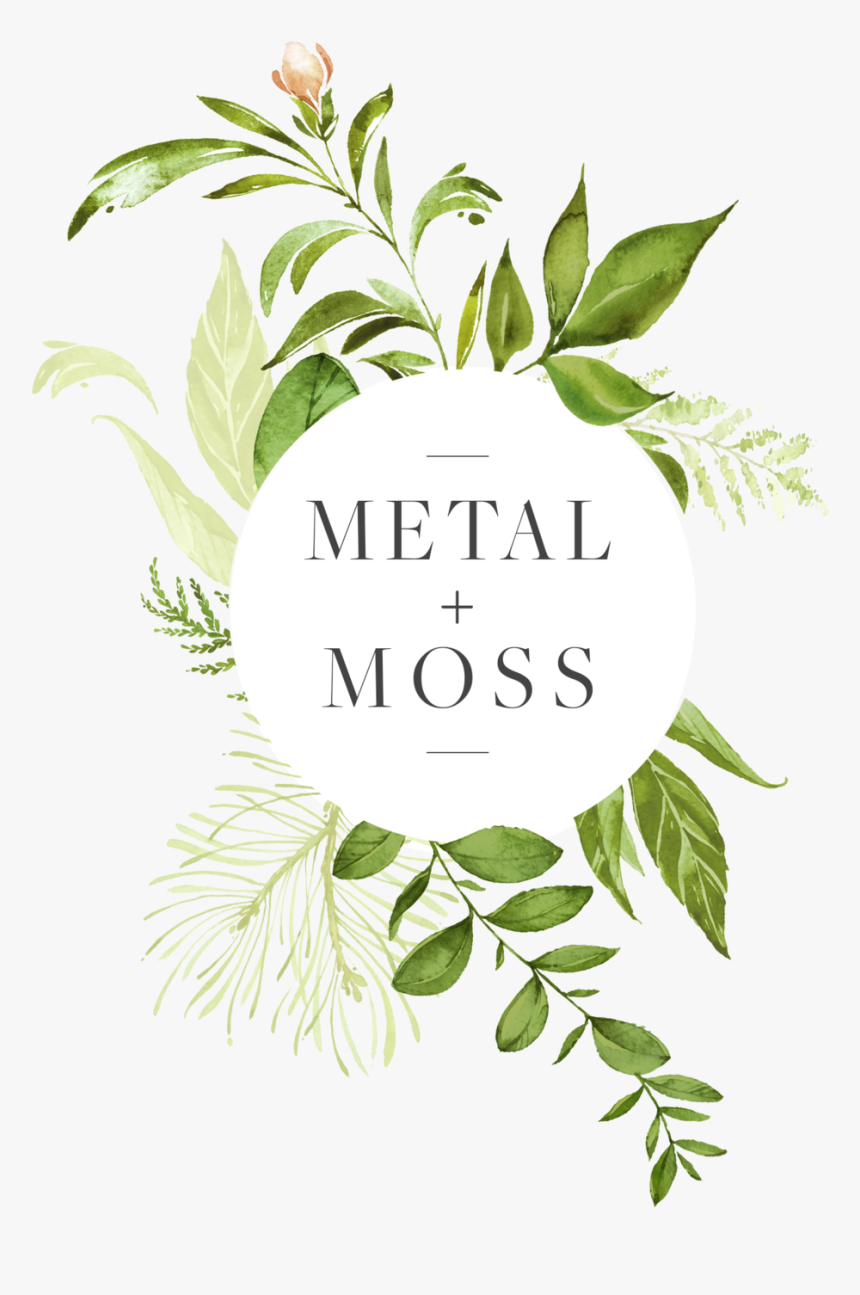 Transparent Hanging Moss Png - Western Yew, Png Download