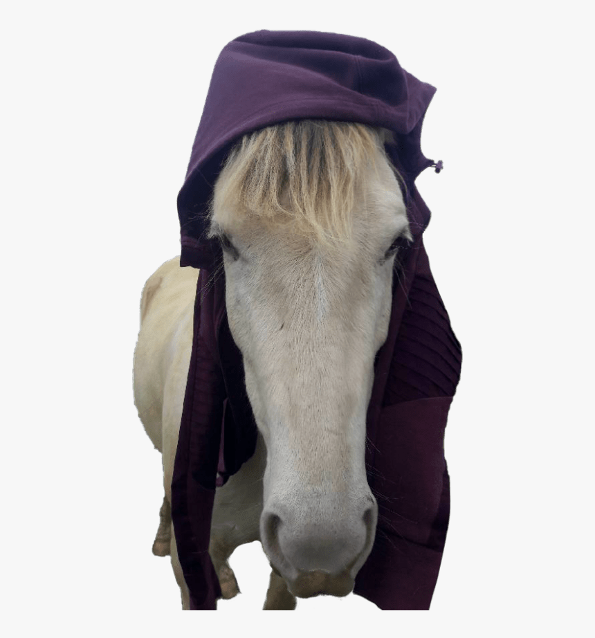 Go To Winston S Page - Stallion, HD Png Download