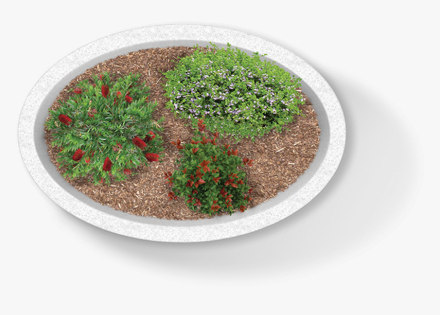 Moss , Png Download - Moss, Transparent Png