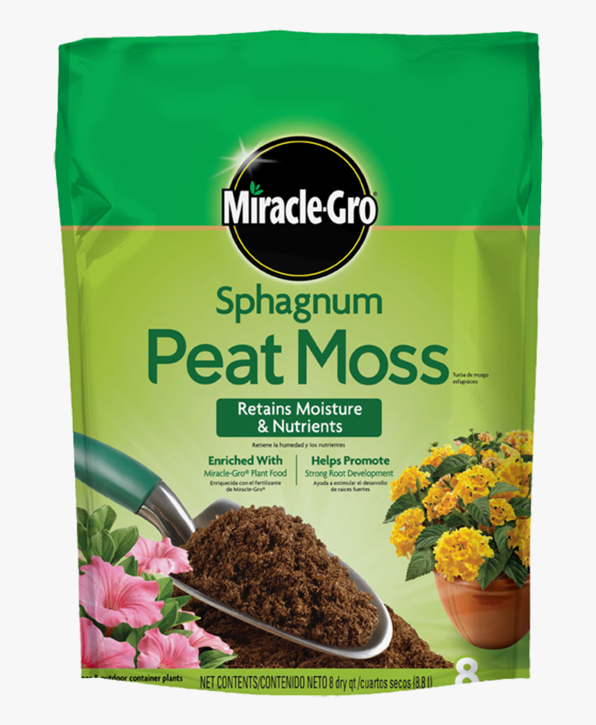 Moss Png, Transparent Png