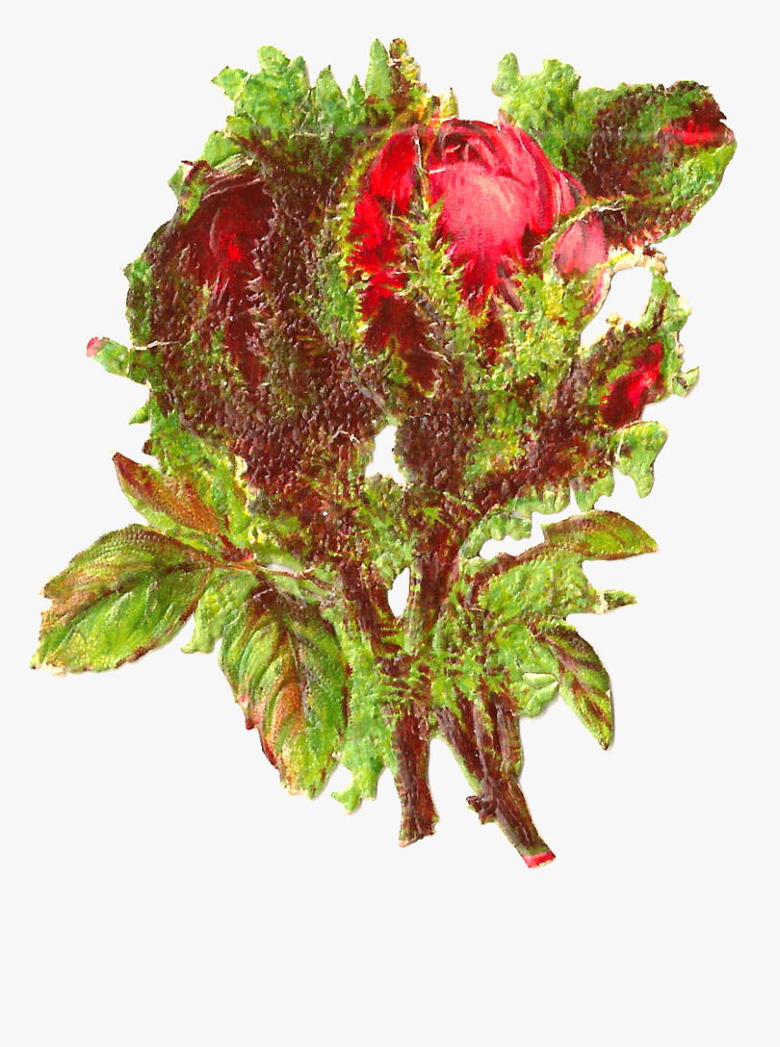 Bouquet, HD Png Download