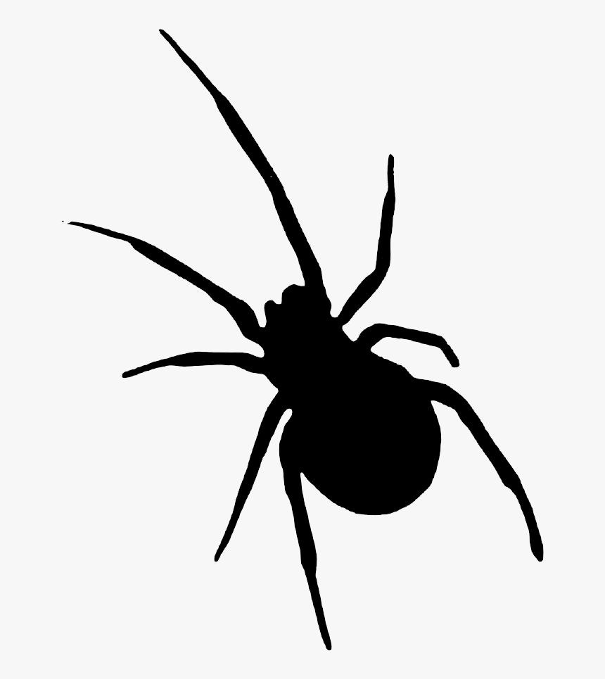 Sombra Halloween Png - Halloween Png, Transparent Png