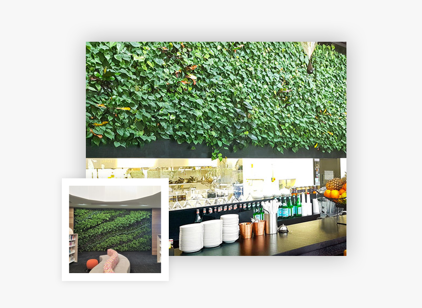Backyard, HD Png Download