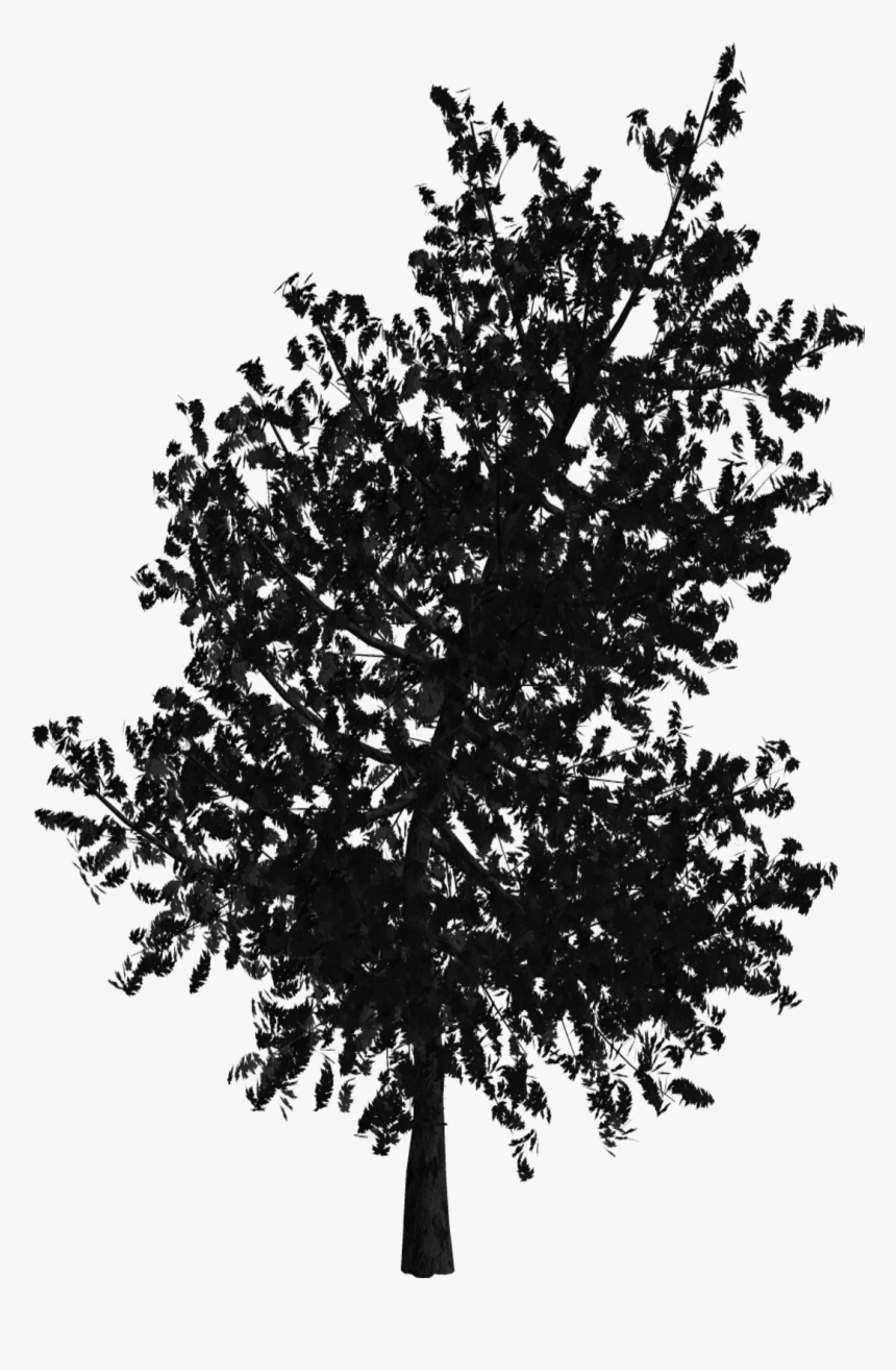 Clip Art Brushes E Efeitos De - Art, HD Png Download