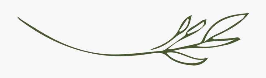 The Fresh Bloom Twig-moss, HD Png Download