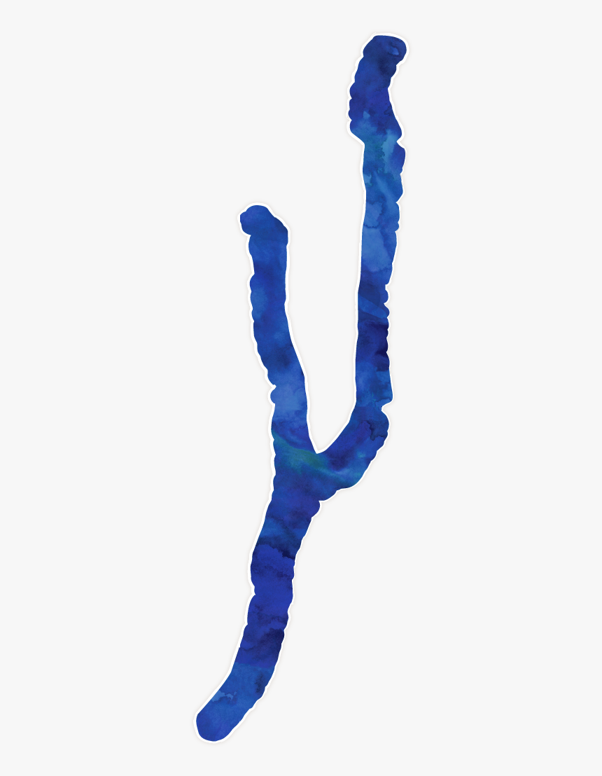 Keuka Lake, HD Png Download