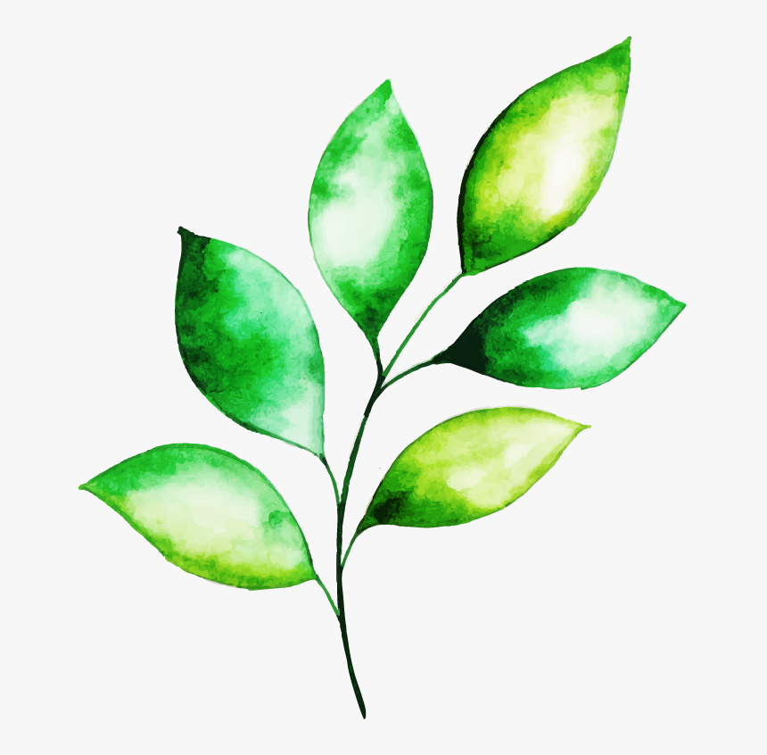 Illustration, HD Png Download