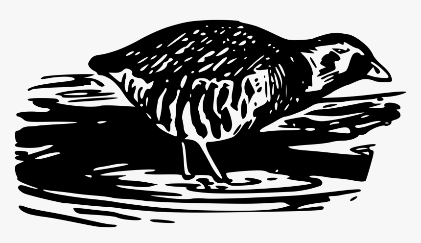 Sora Rail 2 Clip Arts - Rail, HD Png Download