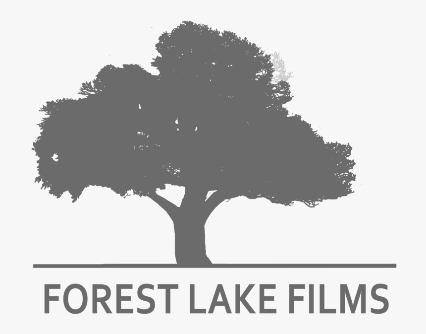 Lake Png, Transparent Png