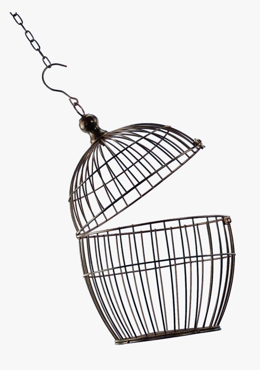 Bird Cage Png Image - Open Bird Cage Png, Transparent Png