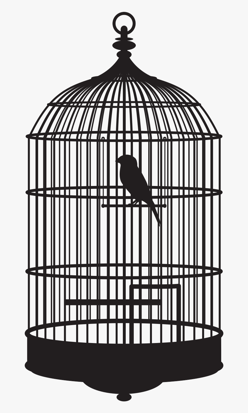 Bird In A Cage Bird In Cage Png - Bird In Cage Gif, Transparent Png