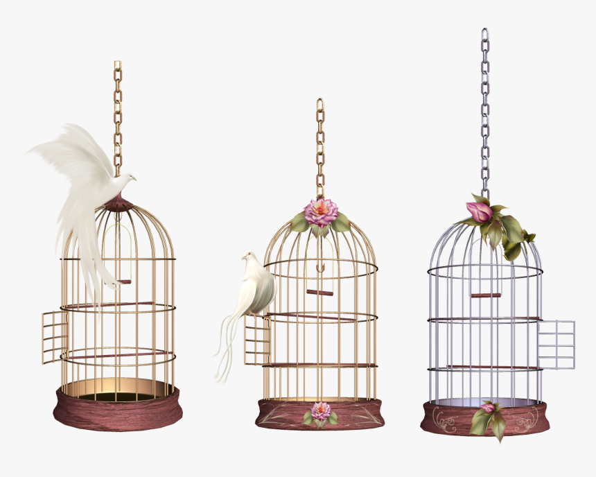 White Bird Cage - Birdcage Png, Transparent Png