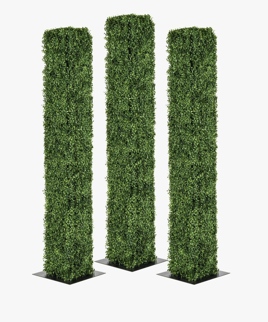 Transparent Pillars Png - Hedge, Png Download