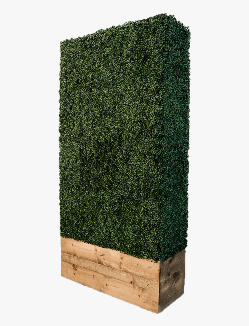 Hedge Wall - Hedge, HD Png Download