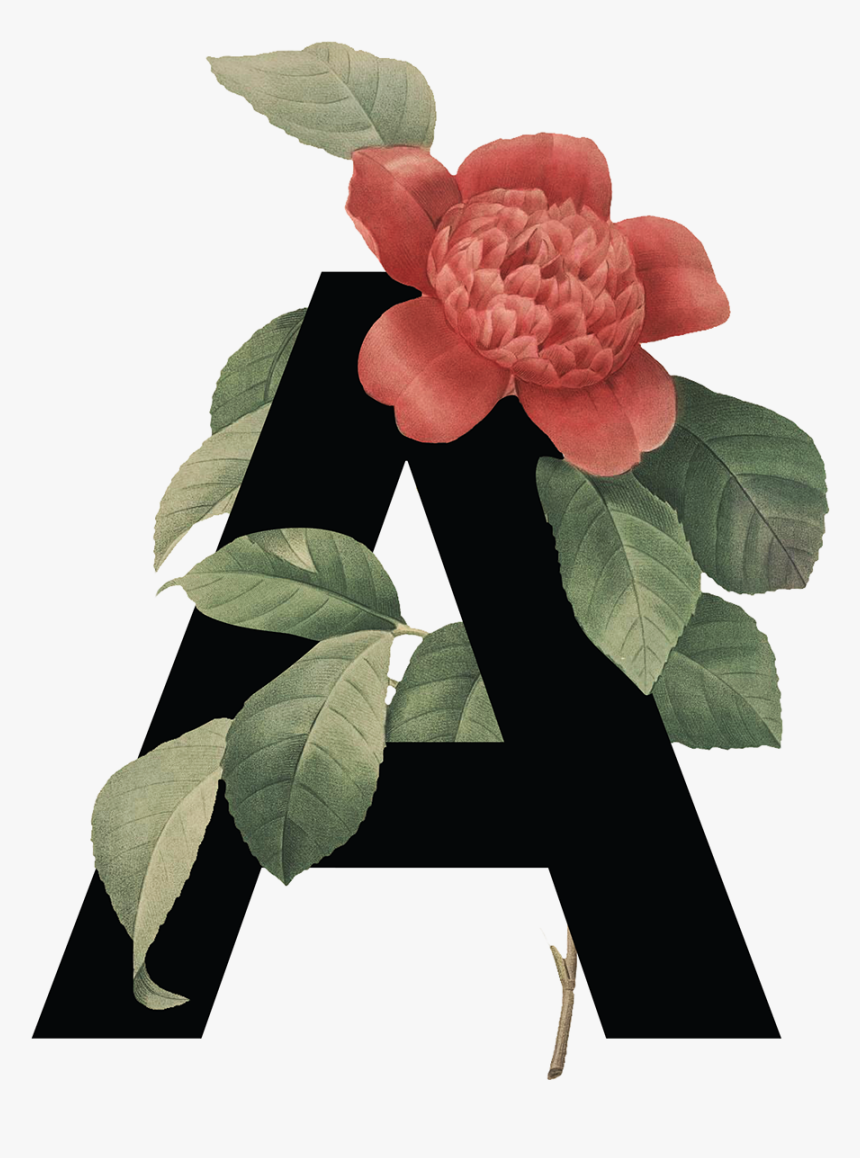 Floral Alphabet, HD Png Download
