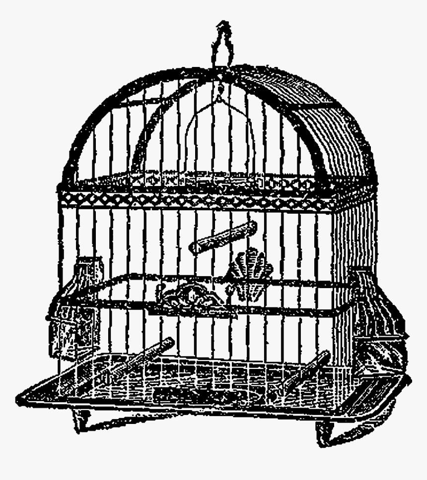 Birdcage Bird Clipart Illustration Artwork Digital - Cage, HD Png Download