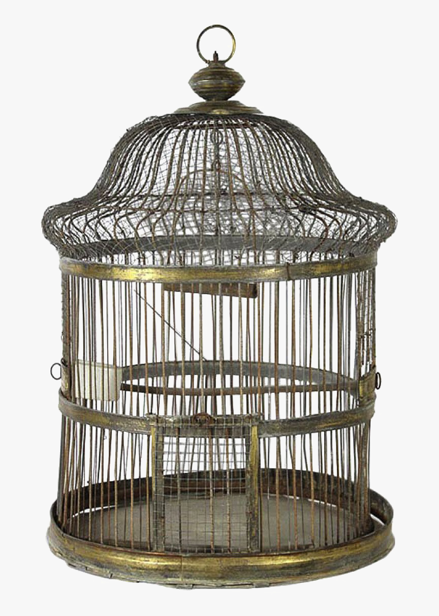 Cage,bird Supply,pet Supply - Bird Cage Transparent, HD Png Download