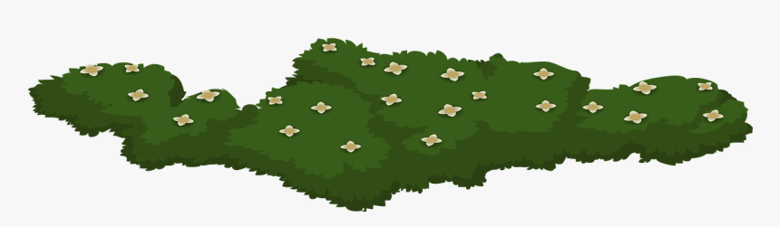 Greeneray Transparent, HD Png Download