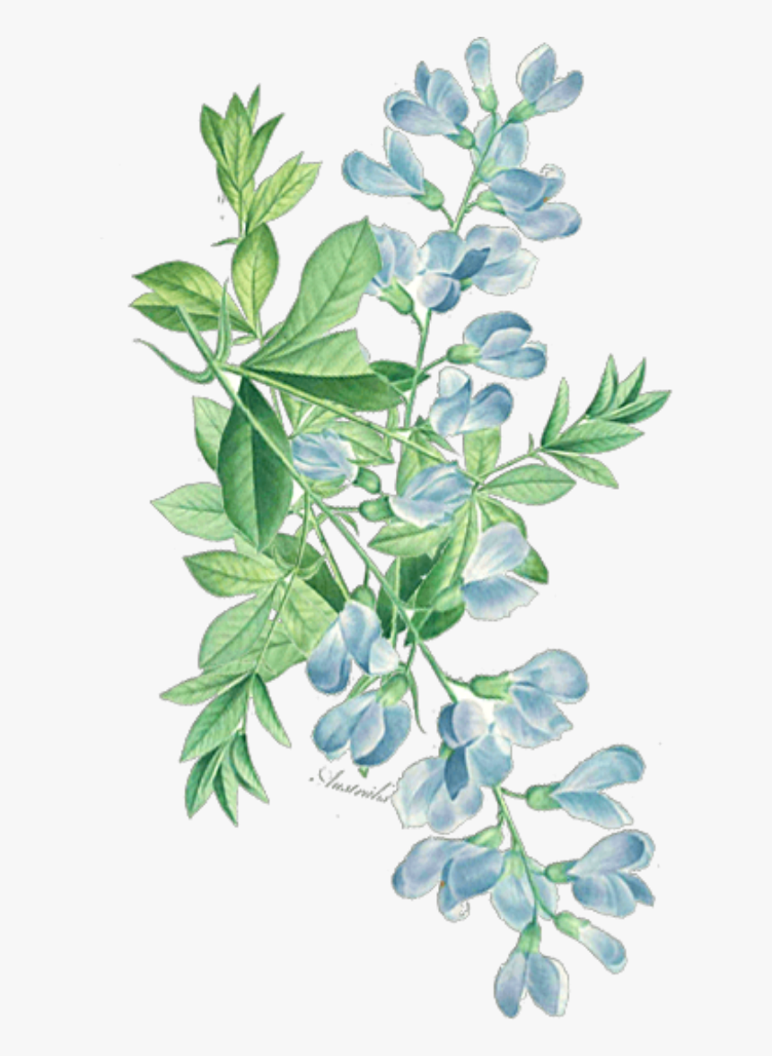 #ftestickers #watercolor #floral #leaves #greenery - Watercolor Leaf Corner Png, Transparent Png