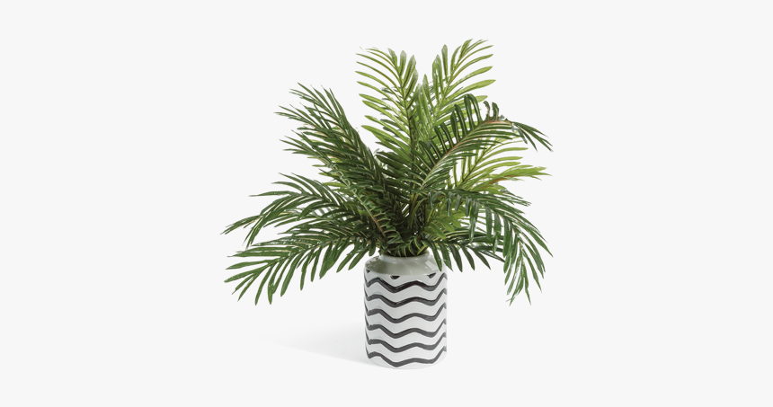 Phoenix Palm Abstract Vase Greenery Arrangement 
 Title - Palm Tree In Vase Png, Transparent Png