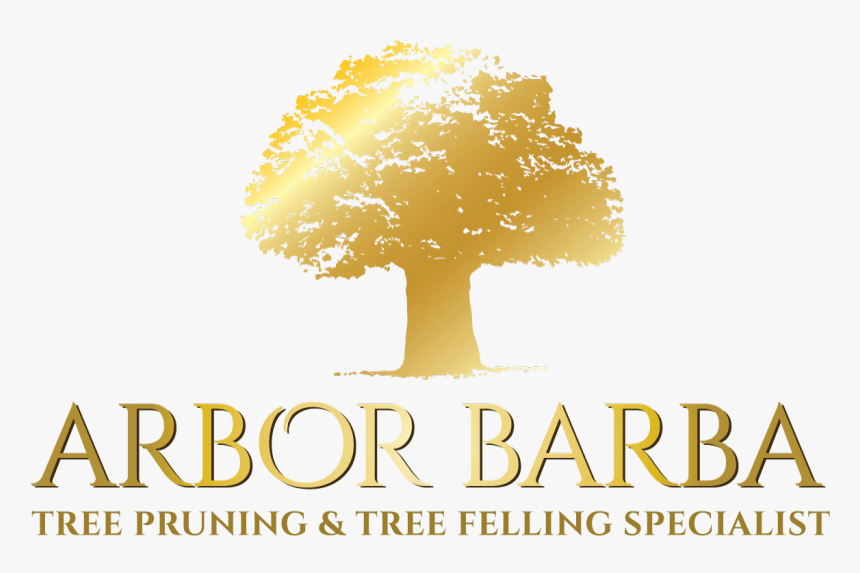 Hedge , Png Download - Tree, Transparent Png