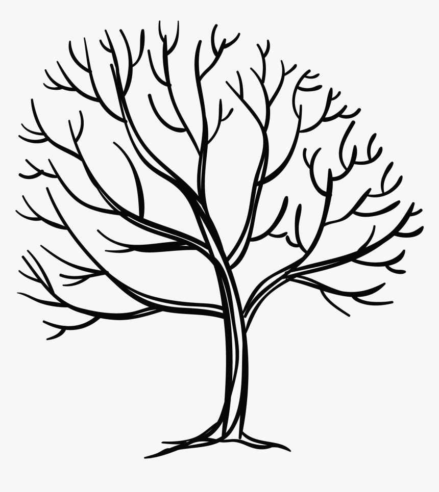 Line Art, HD Png Download