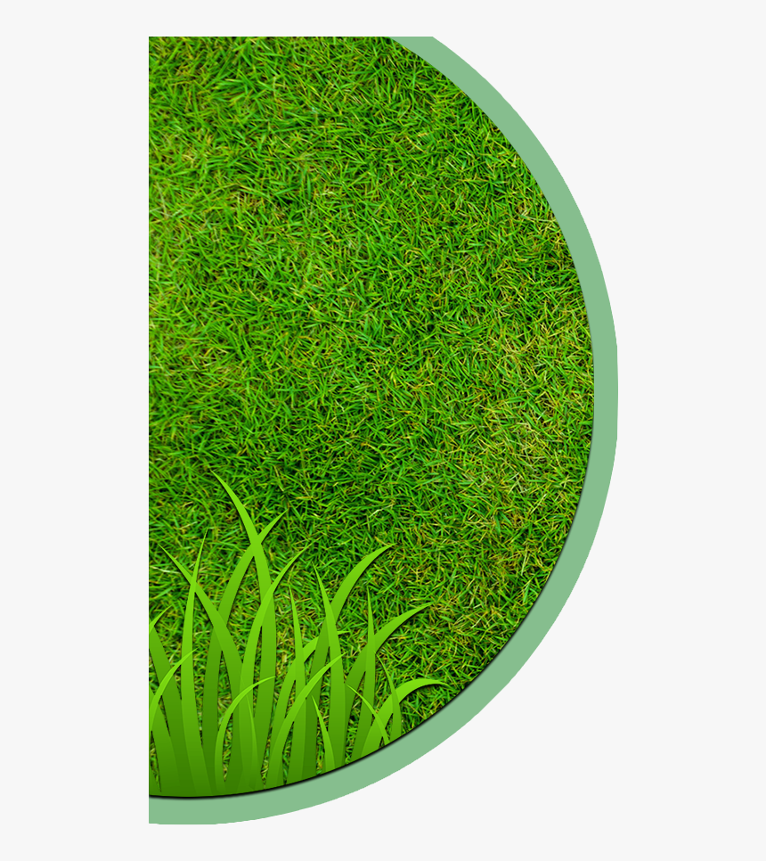 Landscaping Clipart Hedge Cutting - Circle, HD Png Download