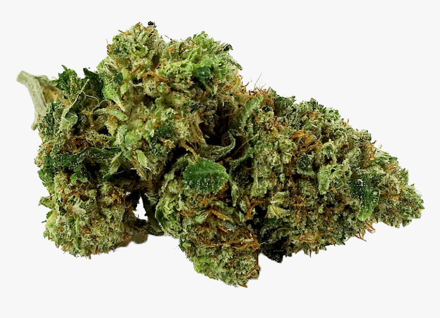 Moss, HD Png Download
