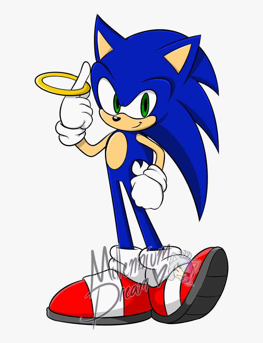 Sanic Da Hedge By Millenniumdream - Clip Art, HD Png Download