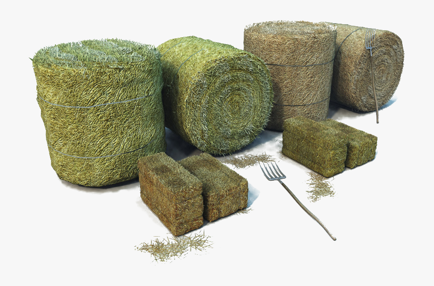 Hay - Round Hay Bales, HD Png Download