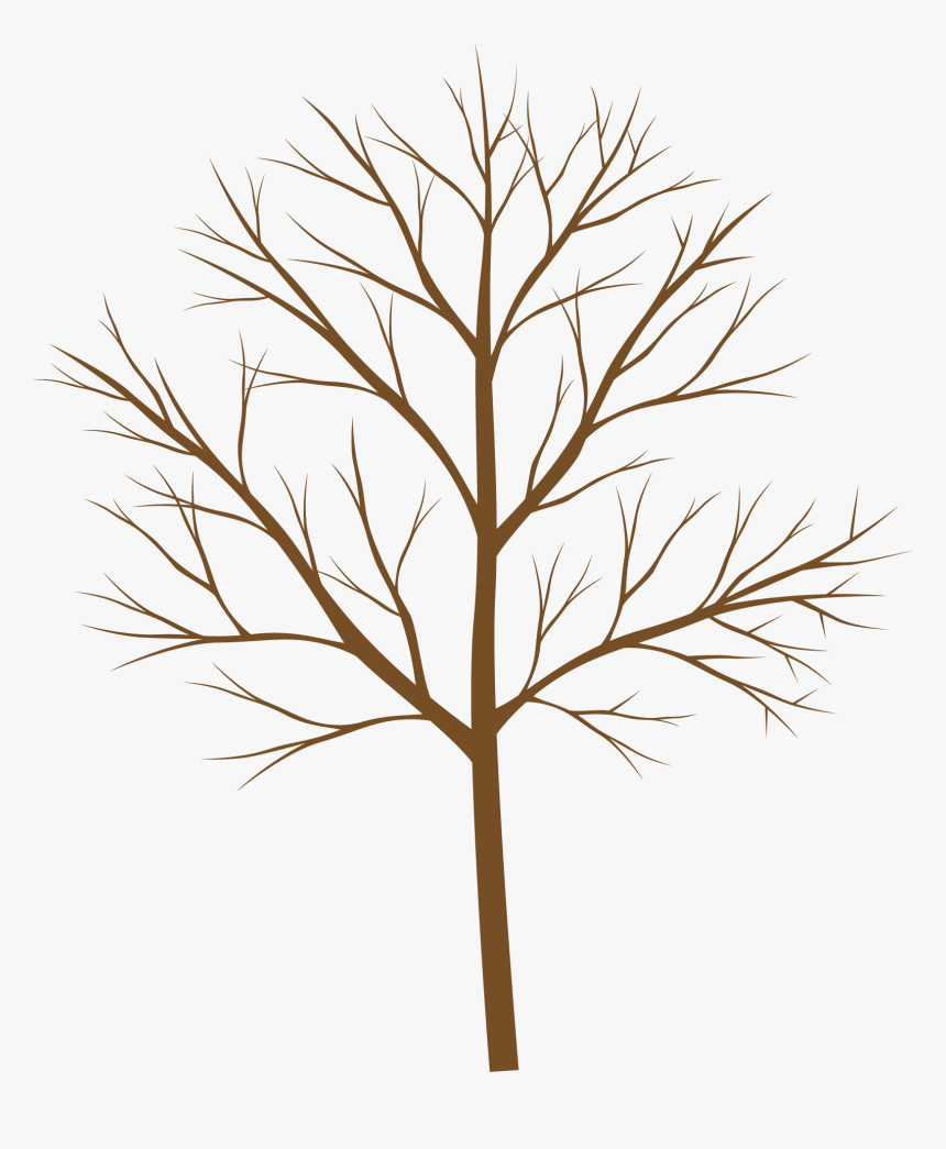 Vector, HD Png Download