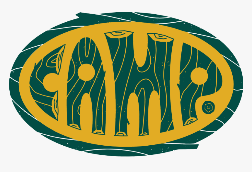 Camp Family Experience Store, HD Png Download