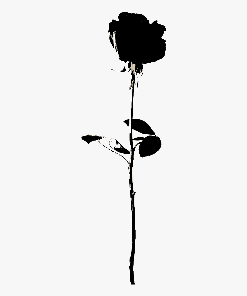 Rose Flower Icon - Rose Flower Icon Png, Transparent Png