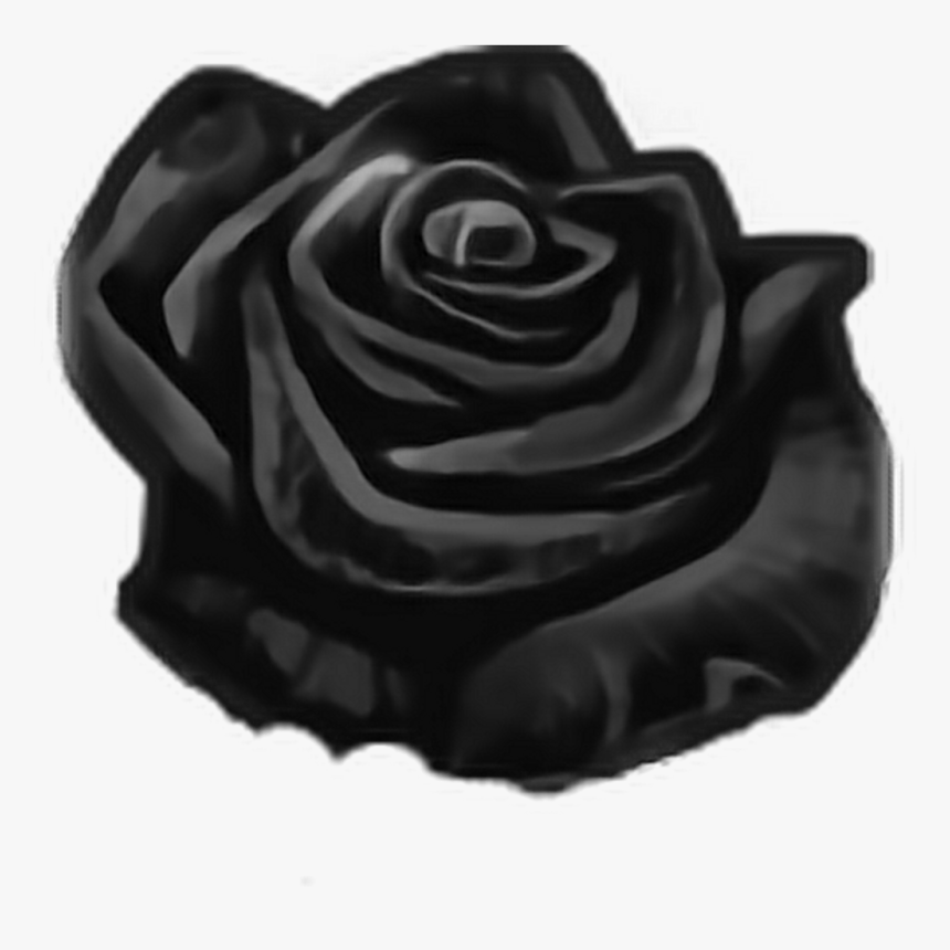 Mq Black Rose Roses Flowers Flower - Floribunda, HD Png Download