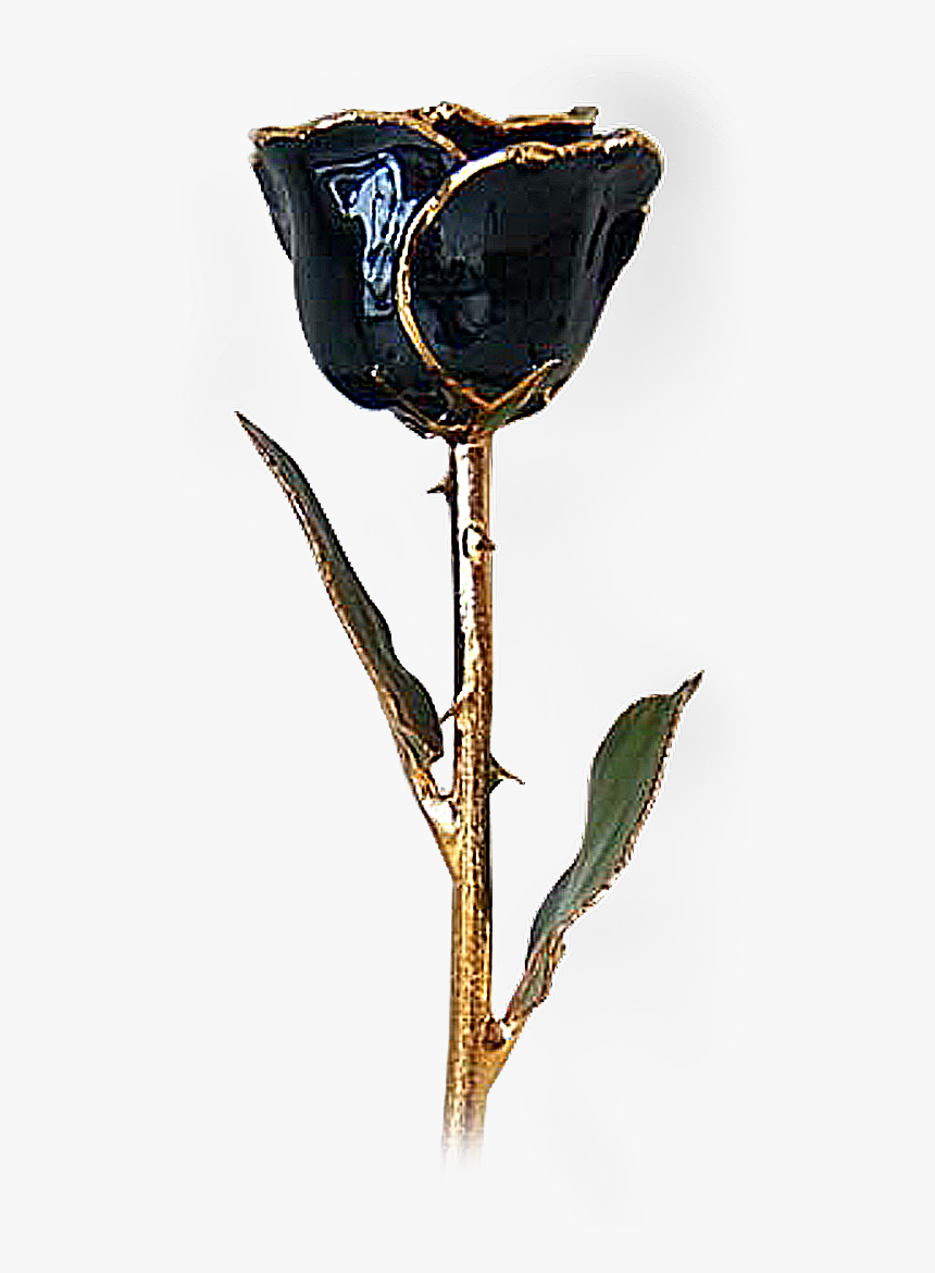 Transparent Black Roses Png - Black And Gold Roses With Stem, Png Download