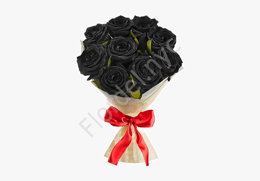 Black Roses With Red Bow - Garden Roses, HD Png Download