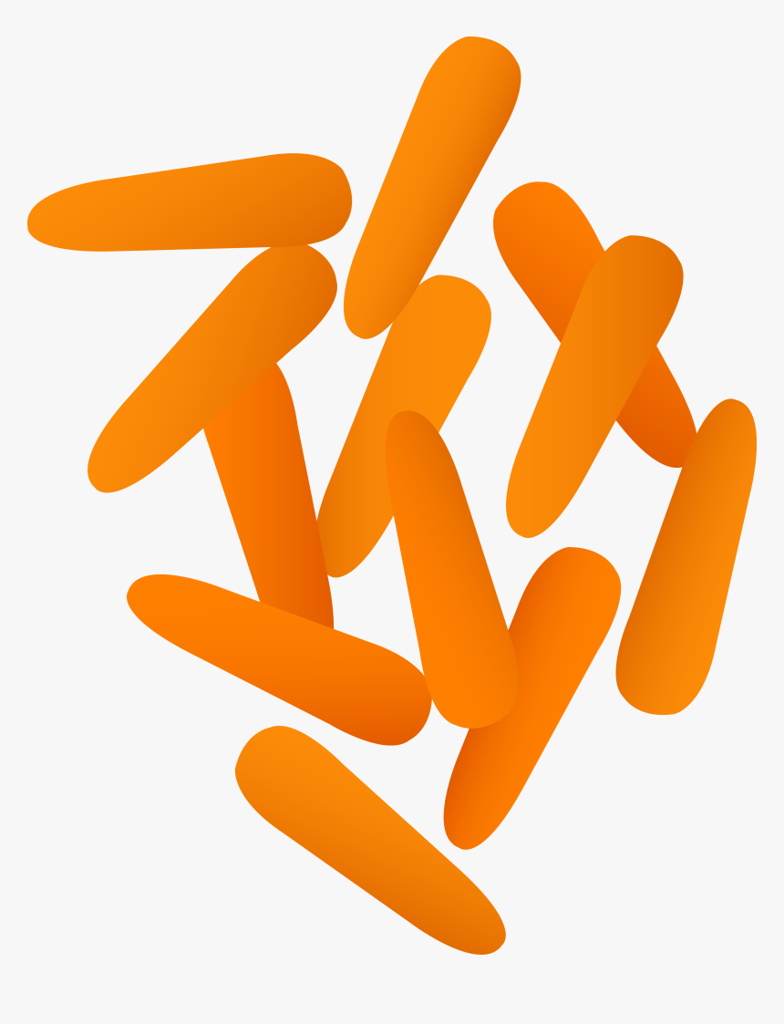 Carrots Clipart - Baby Carrot No Background, HD Png Download