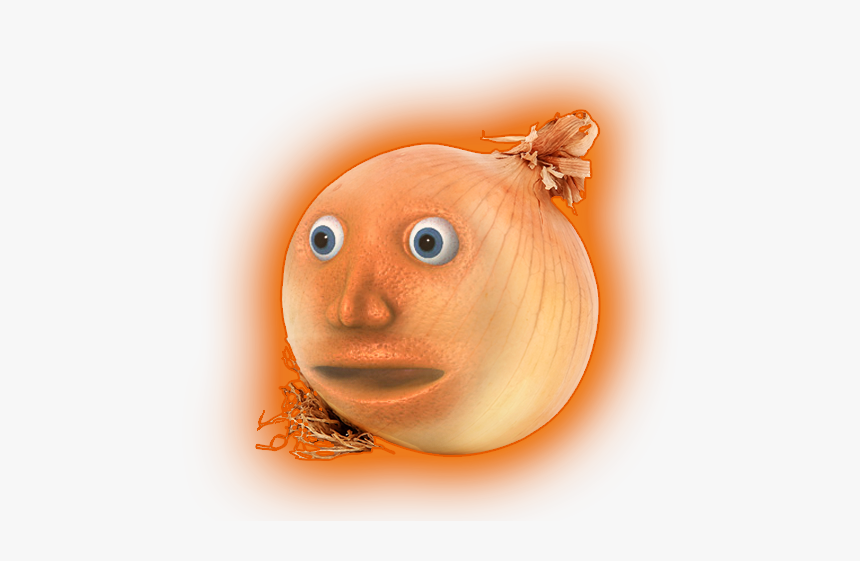 Pomacentridae, HD Png Download