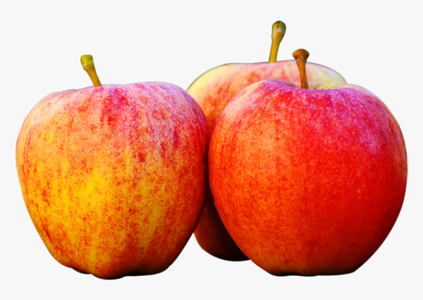 Apple Fruit Clip Art - Apple Images In Png, Transparent Png