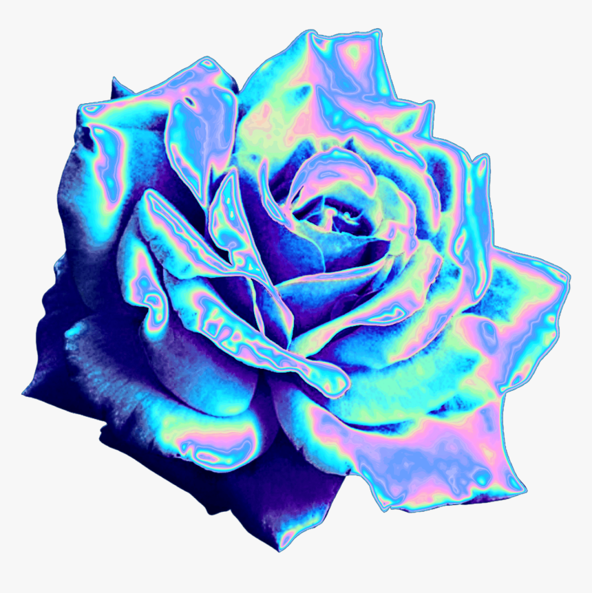 Top 10 Holographic Flowers - Holographic Rose, HD Png Download