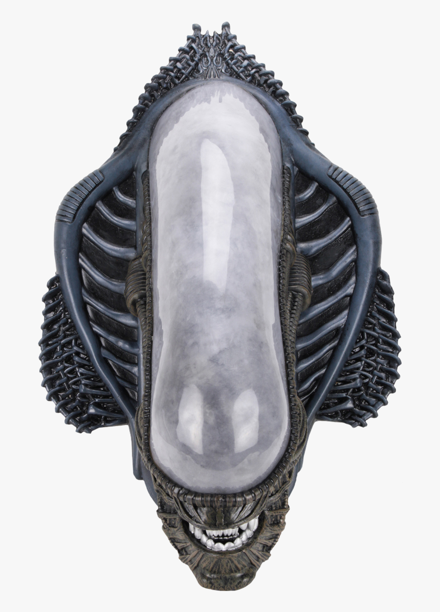 Alien Foam Replica Xenomorph Wall Mounted Bust, HD Png Download