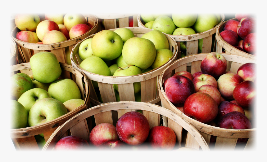 Transparent Apples Png - Produccion De Manzanas Y Peras, Png Download