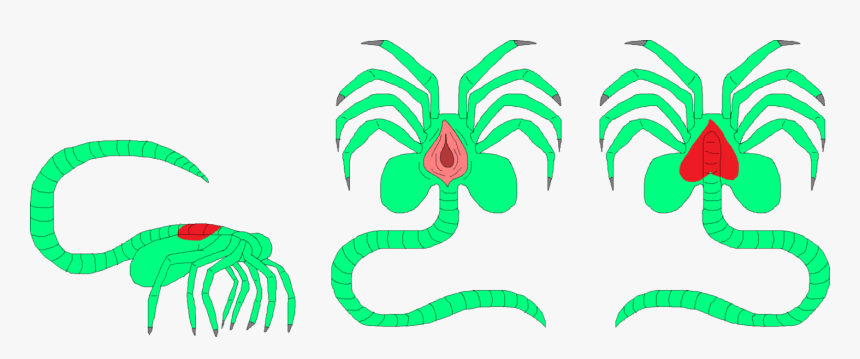 Xenomorph Clipart Alien Tattoo - Xenomorph Pregnancy, HD Png Download
