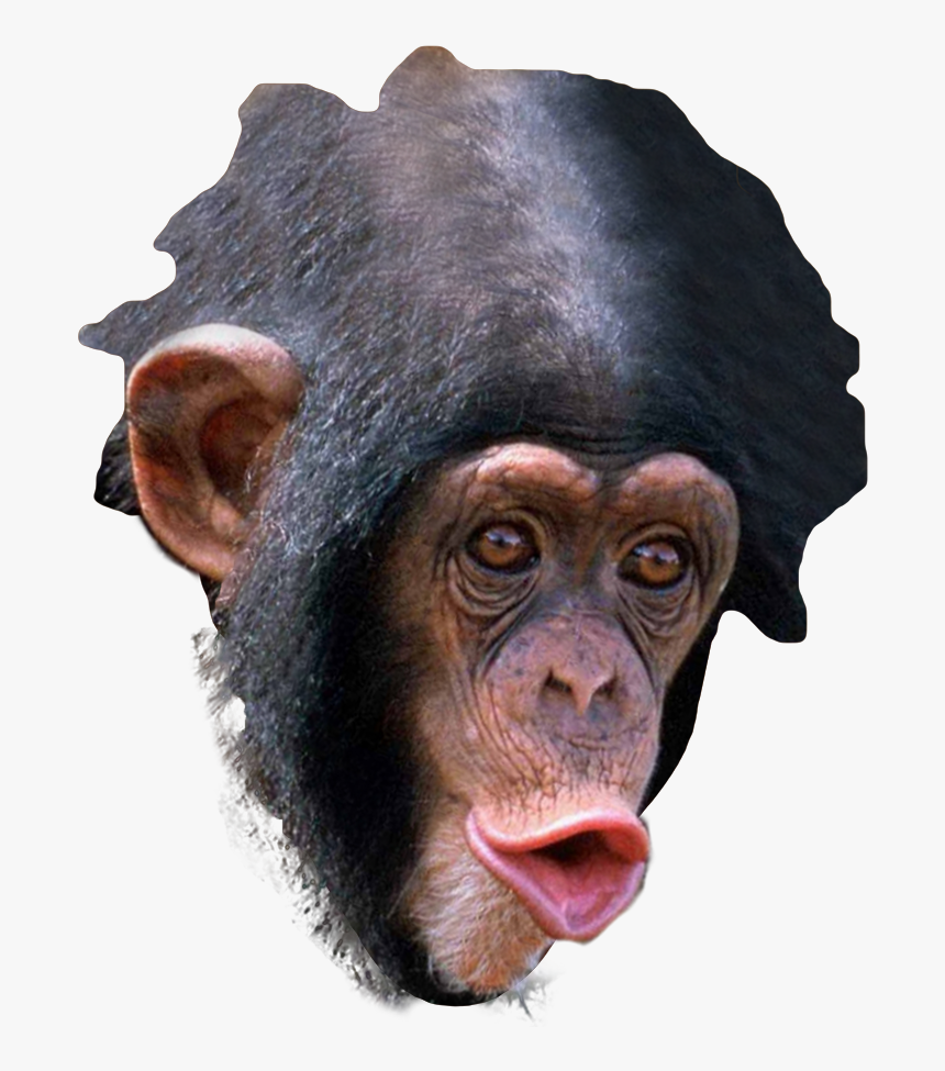 Trihard Emote, HD Png Download