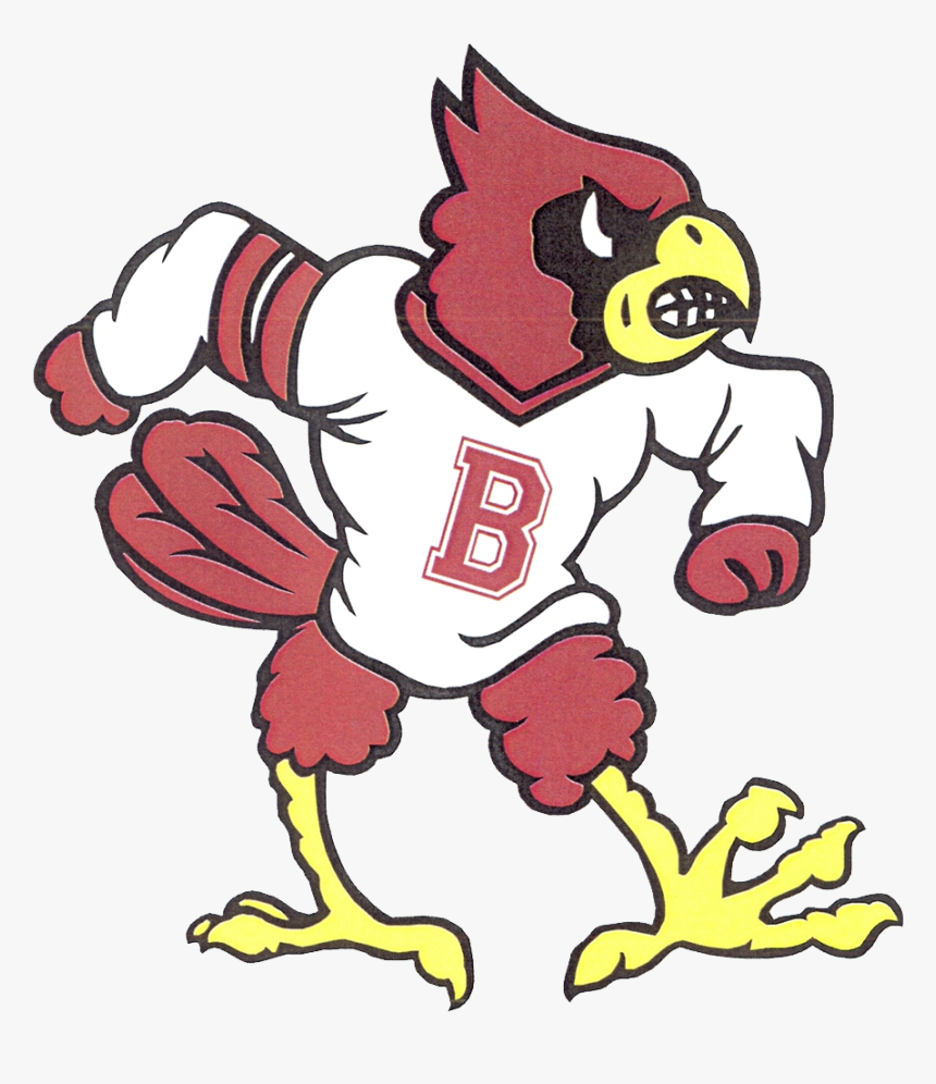 School Logo - Stewartsville Cardinals, HD Png Download
