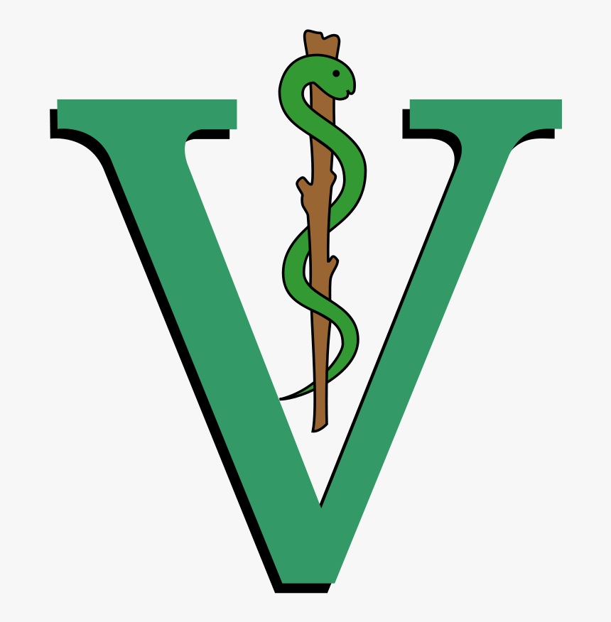 Veterinary Medicine, HD Png Download