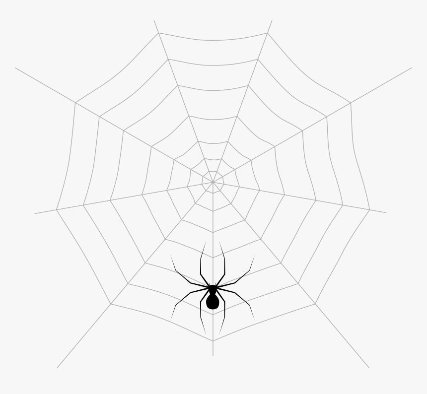 Spider Web Pattern Symmetry Point Angle, HD Png Download
