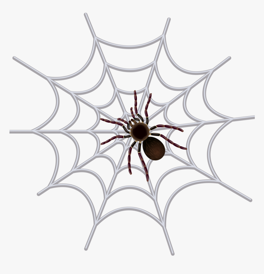 Transparent Png Spider Web Clipart , Png Download - Spider Web Images Black And White, Png Download
