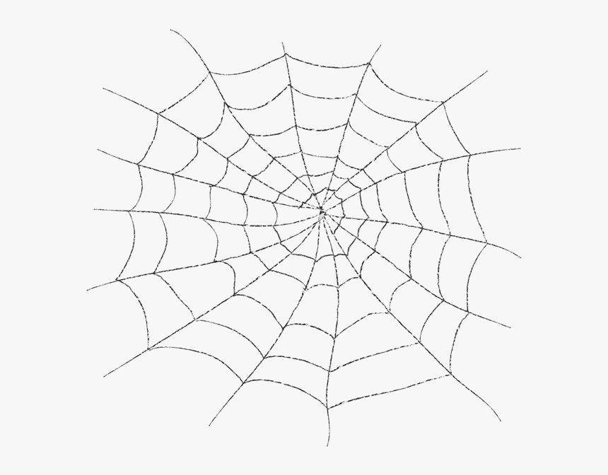 Spiderweb Clipart Spider Silk, HD Png Download